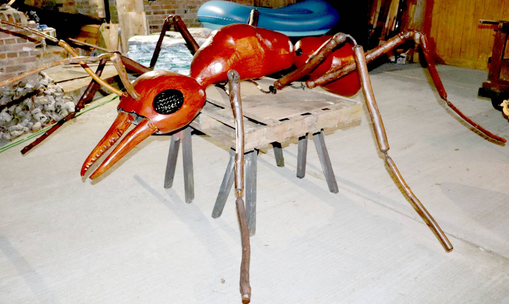 Antony is a giant Bulldog ant from Australia 